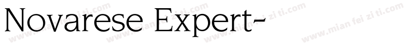 Novarese Expert字体转换